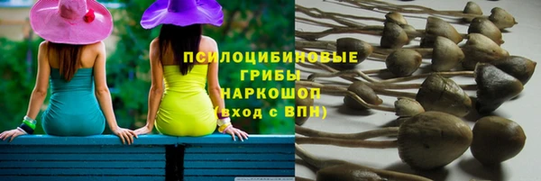 мет Нефтекумск