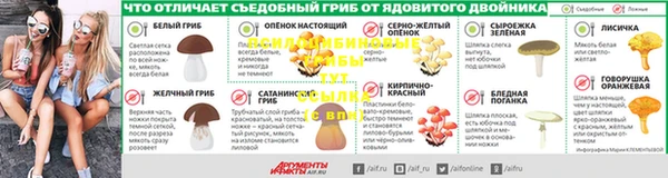 стафф Алексеевка