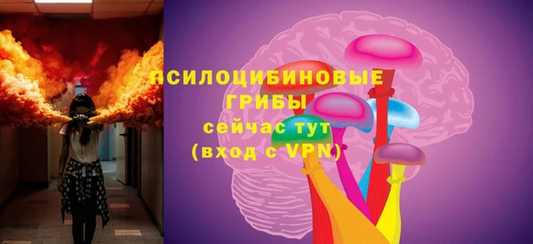 эйфоретик Алексин
