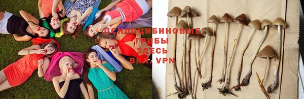 стафф Алексеевка