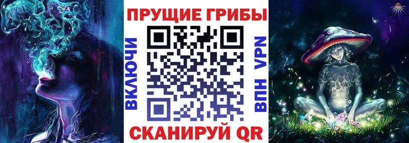закладки  Уварово  Галлюциногенные грибы ЛСД 